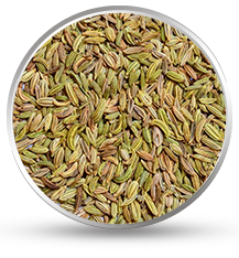 Discover Nature's Bounty: Premium Indian Spices & Seeds by Hydrocolloids India - Munster Other