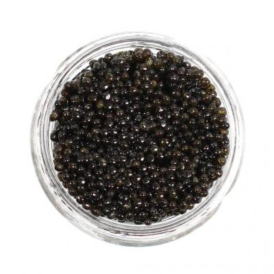 Best Make American Hackleback Sturgeon Caviar | Caviar star - Other Professional Services