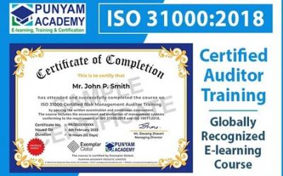 ISO 31000 Certification Consultant