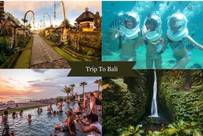 Hike Through Lush Rice Fields and Soar Above the Jungle on the Bali Swing