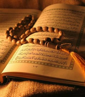Learn the Holy Quran in Easy English Online for Free - Sydney Other