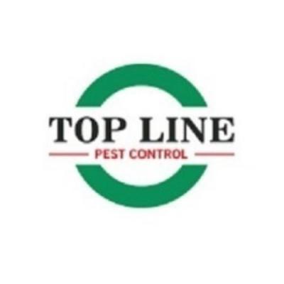 Mastering Spider Control: Topline Pest Control's Expert Solutions - Other Other