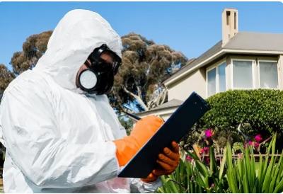 Termite Experts Sydney - Sydney Maintenance, Repair