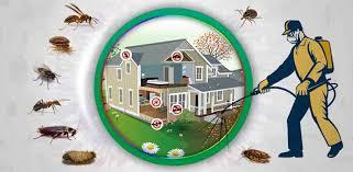 Pest-Control in Boksburg - Eco-Pest Control - Boksburg Professional Services