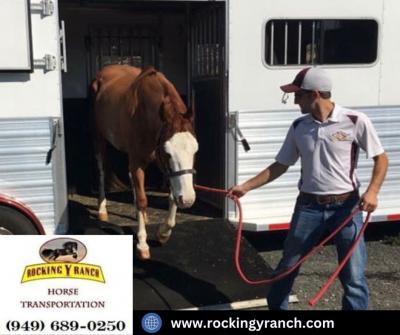 Specialized Equine Transportation | Rocking Y Ranch