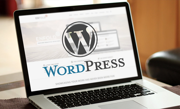 Exceptional WordPress Development Services in Florida 