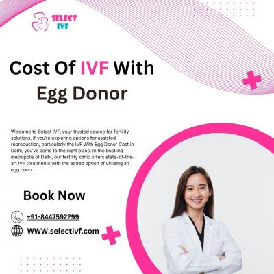 Cost Of IVF With Egg  Donor