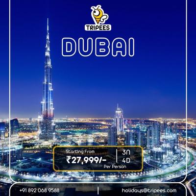 Dubai Holiday Packages. - Other Other