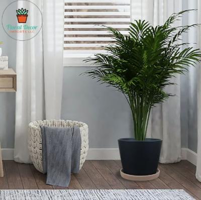 Ceramic indoor plant pots - Washington Other