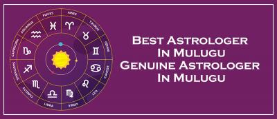Best Astrologer in Mulugu  - Hyderabad Volunteers