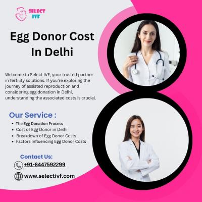 Egg Donor Cost In Delhi - Delhi Health, Personal Trainer