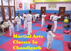 Martial Arts Classes In Chandigarh - Chandigarh Other