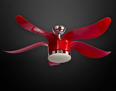 Buy Designer Ceiling Fan Manufacturers - Indigo Light 