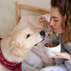 Hemp Calming Treats for Dogs - Other Other