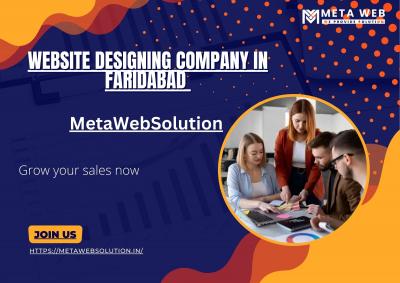 Professional Website Development Services in Faridabad