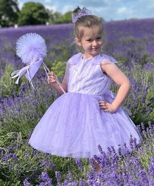 Get The Perfect Dress From The Baby Girl Party Dresses - Other Other