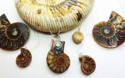   Ammonite Fossil: The Beauty Carved in Necklaces - Newport Other