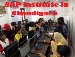 SAP Institute In Chandigarh - Chandigarh Other