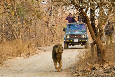 Hotel In Gir National Park | Gir birding Lodge | Gir Forest Hotel		