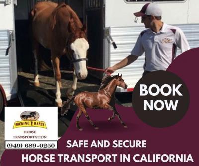 Safe and Secure Horse Transport in California with Rocking Y Ranch