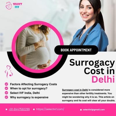 Surrogacy Cost in Delhi - Delhi Other