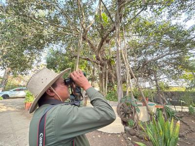 Birdwatching in Gir Forest | Birding Tour Gir National Park