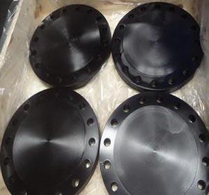 ASTM A105 Flange - Mumbai Other