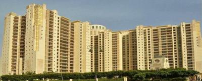 Rent DLF The Summit Apartment in Gurgaon 