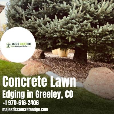 Concrete Curb Landscape Edging in Greeley, CO