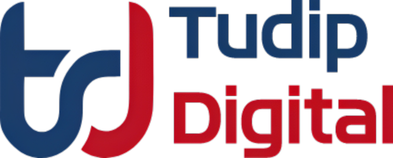Exemplary Software Development Company: Tudip Technologies - Pune Other
