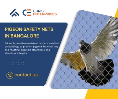 Pigeon Safety Nets in Bangalore