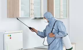 Pest-Control in Northcliff - JT Solution - Johannesburg Other