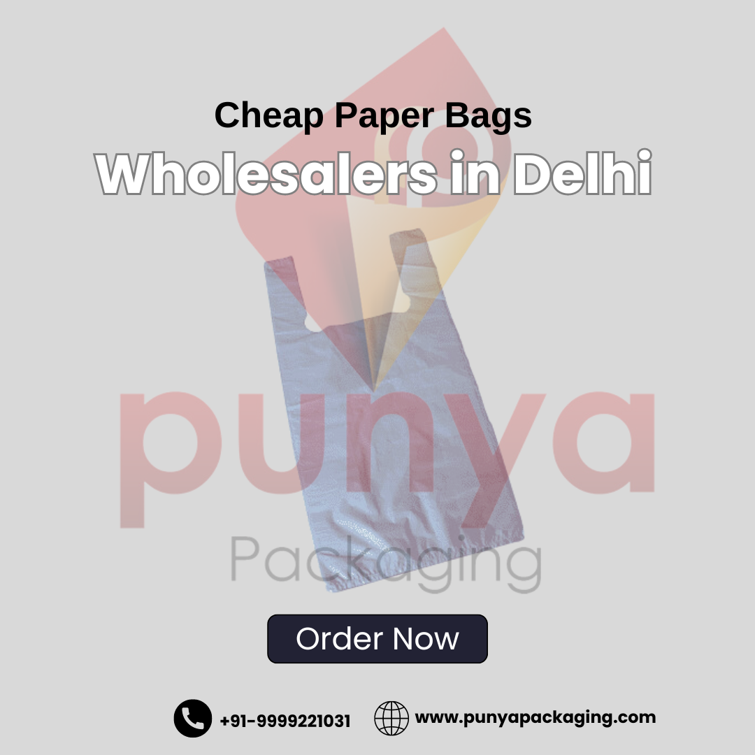 Cheap Paper Bags Wholesalers in Delhi - Jaipur Other