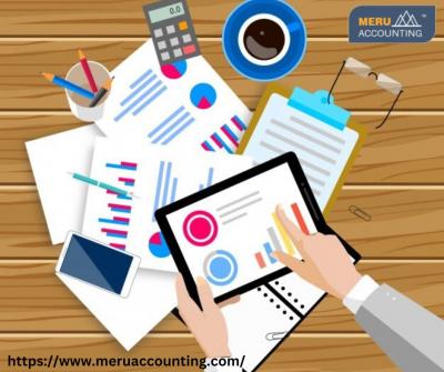 Meru Accounting Payroll Management Service In India