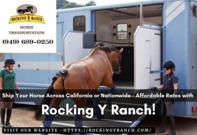 Rocking Y Ranch: Your California Horse Transport Partner - Other Other
