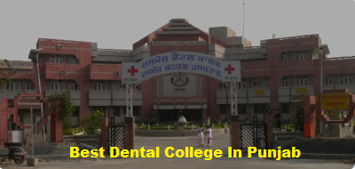 Best Dental College Iin Punjab - Chandigarh Other