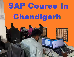 SAP Course In Chandigarh - Chandigarh Other