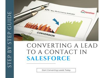 Supercharge Your Sales with Salesforce Mass Lead Conversion Tool | Tenetizer