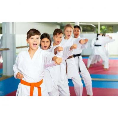 Martial Arts Classes for Kids