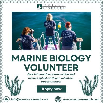 Marine Biology Volunteer - New York Other