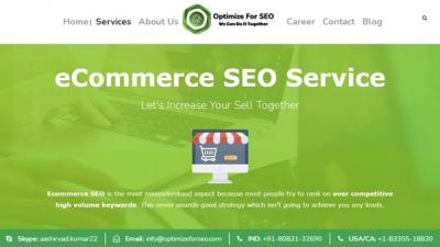 Ecommerce SEO Services