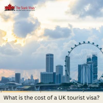 What is the cost of a UK tourist visa? - Delhi Other