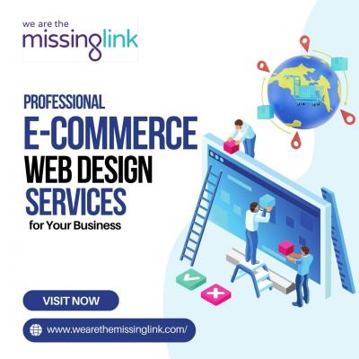 Professional E-commerce Web Design Services for Your Business - London Other