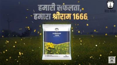 Unveiling the Mustard Revolution: Shriram 1666 Seeds