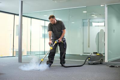  Discover Top-Notch Steam Carpet Cleaning Services in the Chicago Area