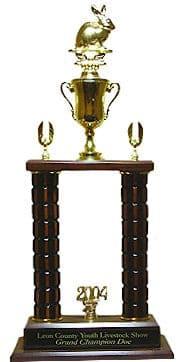 Elegant Acrylic Award Trophies for Every Achievement - New York Other