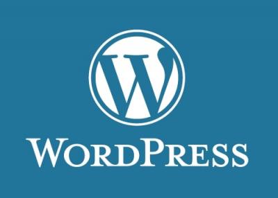 Wordpress Development Services