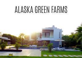 Alaska Green Farms Green Beauty Farm house - Other Other