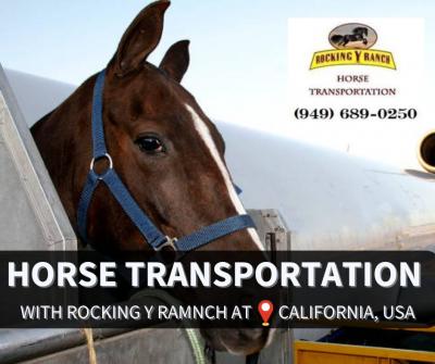 Affordable Horse Transport in California | Rocking Y Ranch