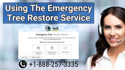 Using The Emergency Tree Restore Service - New York Computer